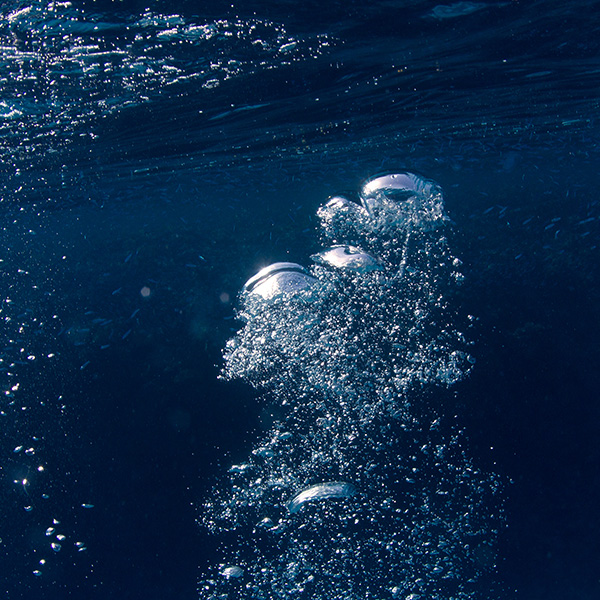Pelagic Network Underwater